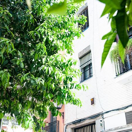 Alohamundi Cruz Verde Seville Ngoại thất bức ảnh