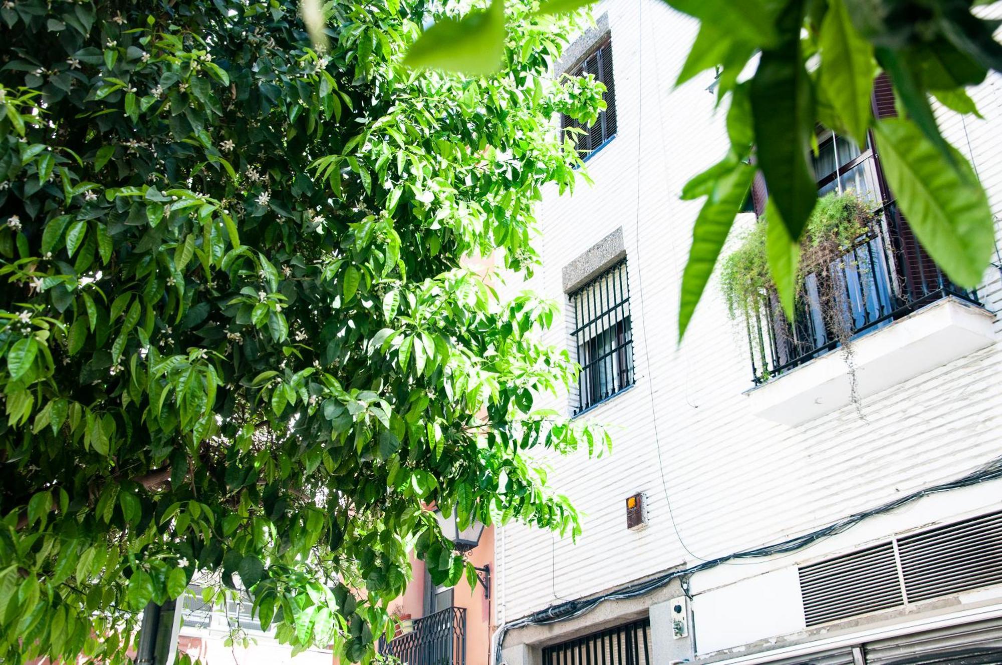 Alohamundi Cruz Verde Seville Ngoại thất bức ảnh